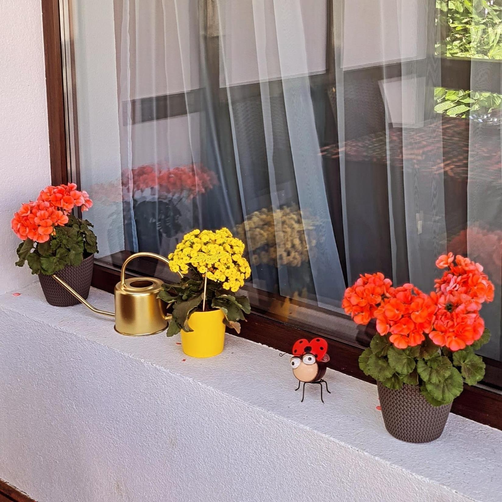 Casa Ama Villa Buşteni Buitenkant foto